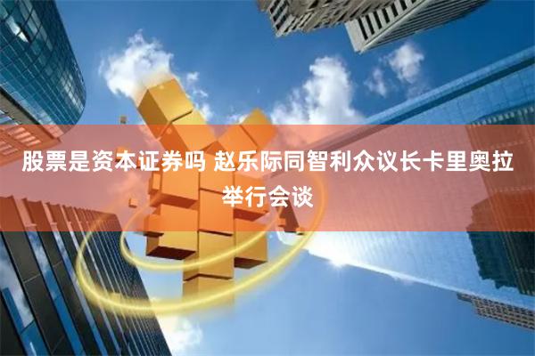 股票是资本证券吗 赵乐际同智利众议长卡里奥拉举行会谈