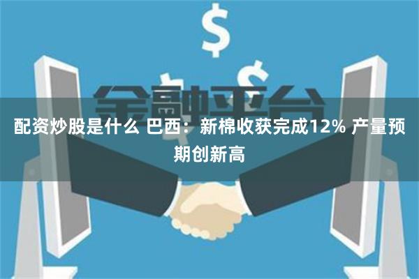 配资炒股是什么 巴西：新棉收获完成12% 产量预期创新高