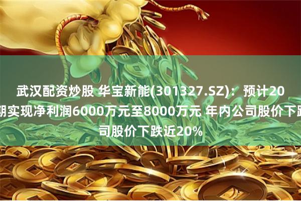 武汉配资炒股 华宝新能(301327.SZ)：预计2024年中期实现净利润6000万元至8000万元 年内公司股价下跌近20%