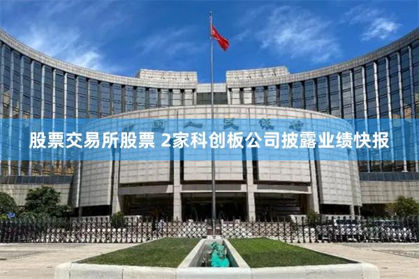 股票交易所股票 2家科创板公司披露业绩快报
