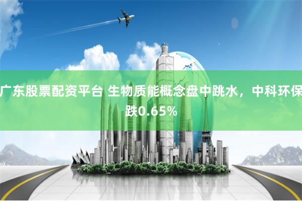 广东股票配资平台 生物质能概念盘中跳水，中科环保跌0.65%