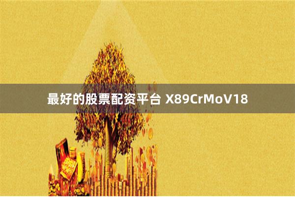 最好的股票配资平台 X89CrMoV18