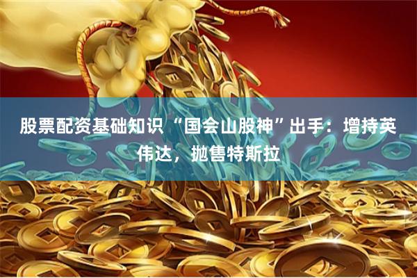股票配资基础知识 “国会山股神”出手：增持英伟达，抛售特斯拉