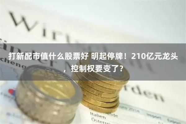 打新配市值什么股票好 明起停牌！210亿元龙头，控制权要变了？