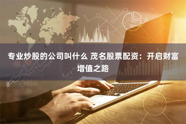 专业炒股的公司叫什么 茂名股票配资:开启财富增值之路